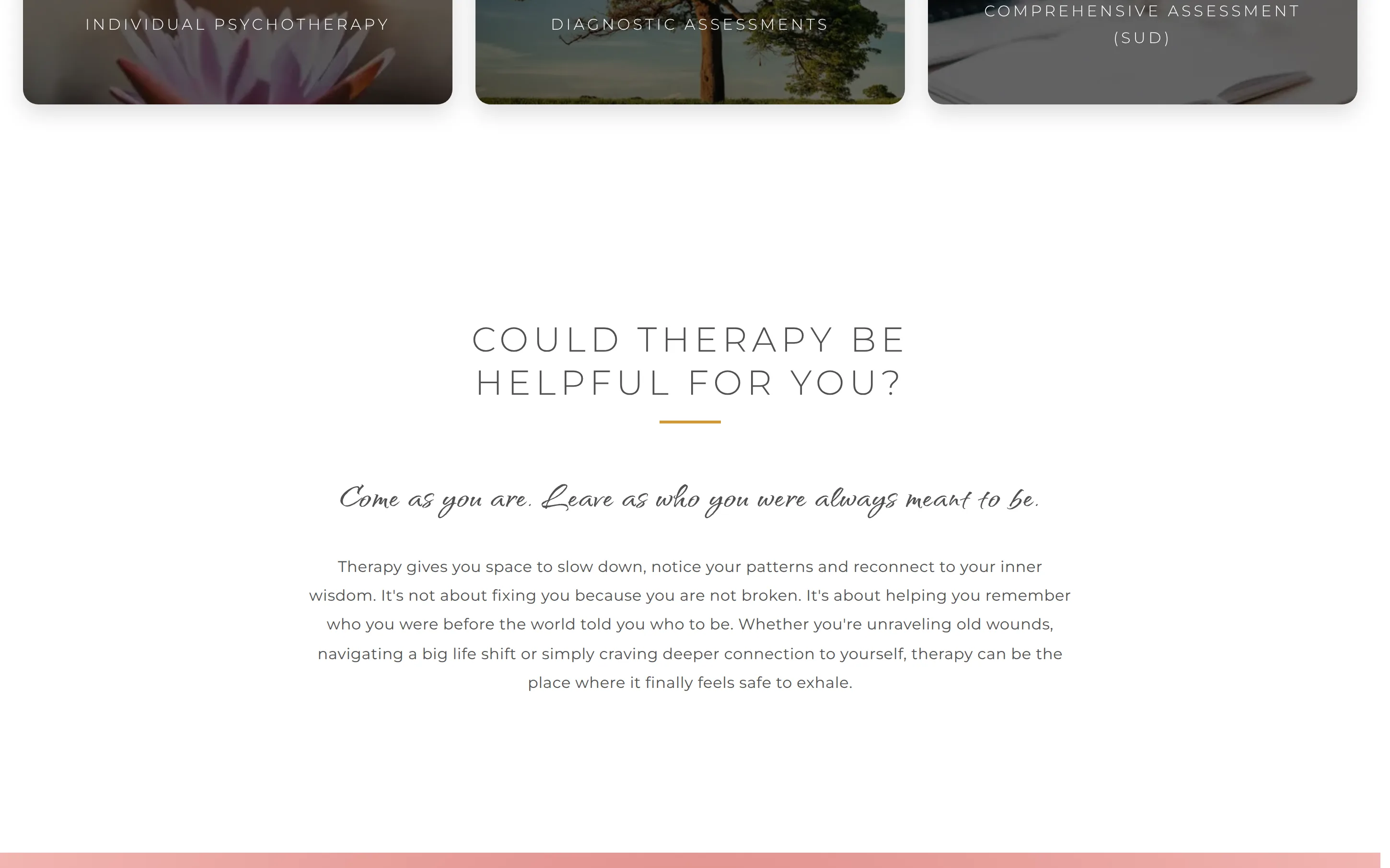 Psychotherapy, assessments, and a section on whether therapy could be helpful
